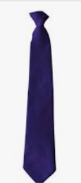 Excelsior Academy Compulsory Year 8 Purple Traditional Tie (for Sept 24)