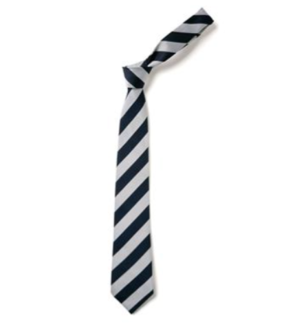 Framwellgate School Durham Year 8+9+10 Navy Stripe Tie (Sept 24)