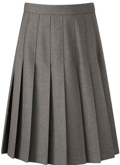 Designer Pleated Skirts