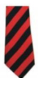 Stokesley School Year 10 (Sept 2024) Red/black stripe Tie