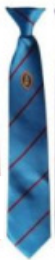 Richmond School Year 9 (Sept 2024) Turquoise Logo Clip on Tie