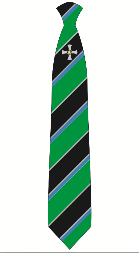 Northallerton School and Sixth Form College Year 11 Tie